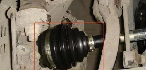 老司機(jī)忠告 這三個(gè)汽車零件越懶保養(yǎng)越好，過(guò)度呵護(hù)反成傷車元兇